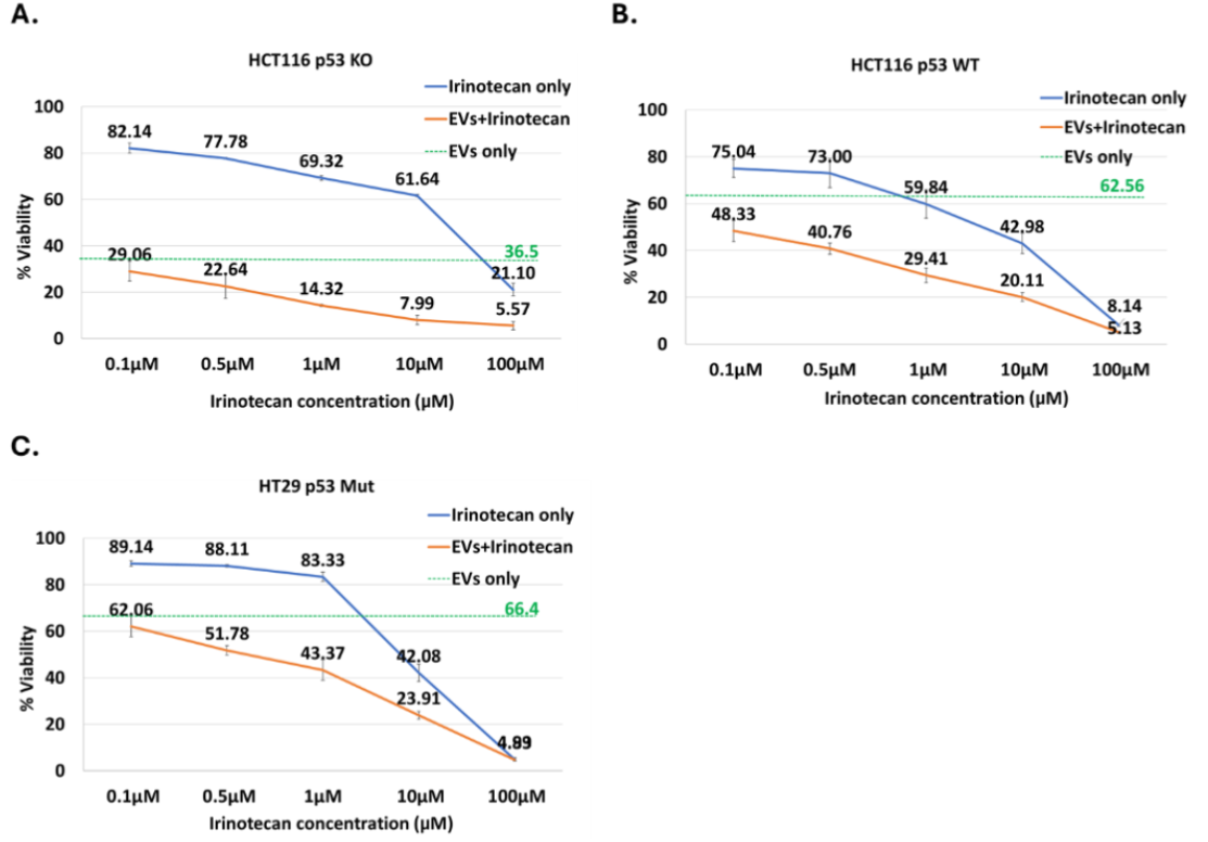 Figure 11: Combination treatment of p53-containing vesicles with irinotecan in colon cancer cell lines, assessed by Annexin V/PI assay. Cell viability was determined by Annexin V/ PI staining following treatment with increasing concentrations of irinotecan (0.1–100μM) alone (blue), EVs alone (green, dashed line), or a combination of irinotecan and EVs (orange). EVs were added 4 hours after irinotecan. Data is presented as mean±SD. A. HCT116 p53 KO. B. HCT116 p53 WT. C. HT29 p53 Mut.
