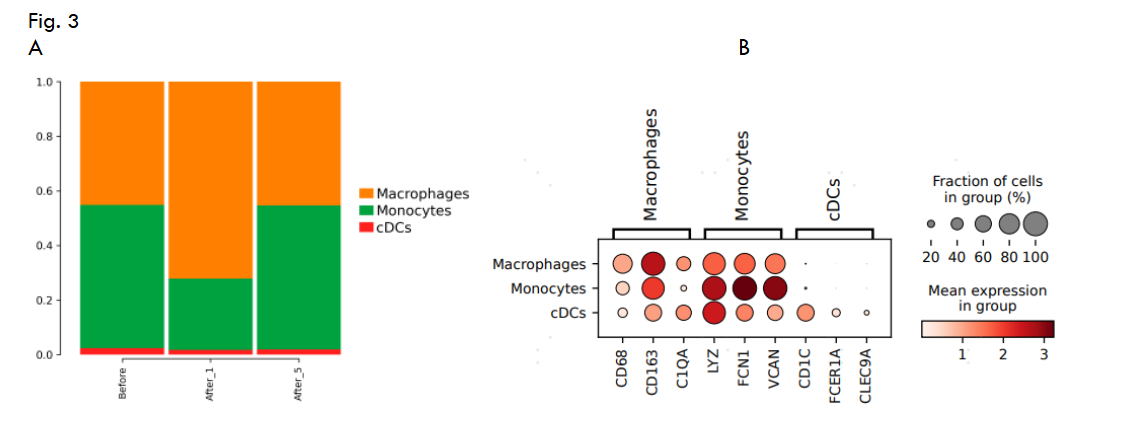 Fig.3 A: Bars of cell proportion of each subpopulation of MPs; B: Marker gene of MPs grouping; C: Cell proportion bar chart of monocytes; D: Cell proportion bar chart of monocytes; E: Intergroup GSVA analysis of different subpopulations.