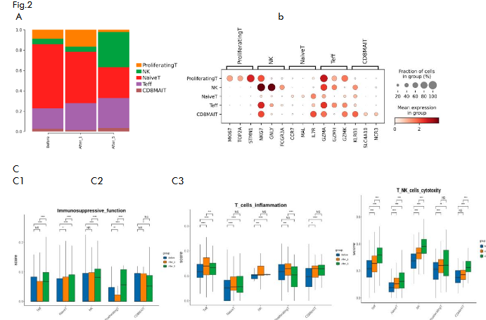 Fig.2 A. TandNK subpopulation cell proportion histogram; B. marker gene bubble map of TandNK subgroup; C. C1: Marker gene bubble map of TandNK subgroup; C2: T cell inflammation gene set score; C3: T cell toxicity gene set score.