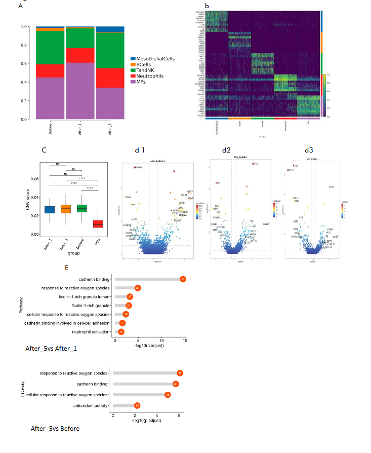 Fig.1 A b C d 1 d2 d3 E After_5vs Before After_5vs After_1