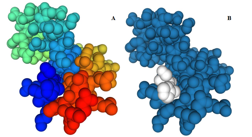 Fig. 1: Tertiary structure of SOX13 (a) and (b)
