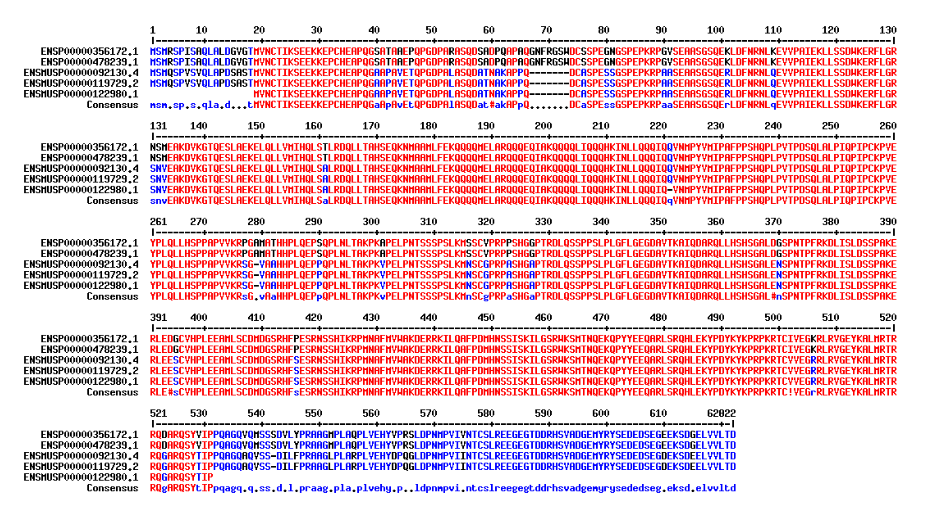 Fig. 2: Conserved domain in SOX13 gene in-between Homo sapiens and Mus musculus