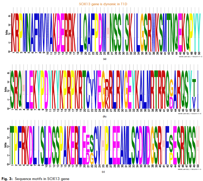 Fig. 3: Sequence motifs in SOX13 gene