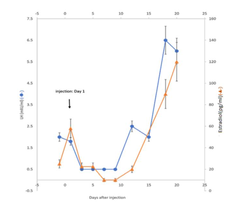 Figure 2. Hormonal profiles of serum LH (● ) and Estradiol (E2) (▲ ) of a female rabbit upon a single injection of 3 mg/kg of GHR106 (hIgG4) on day 1.