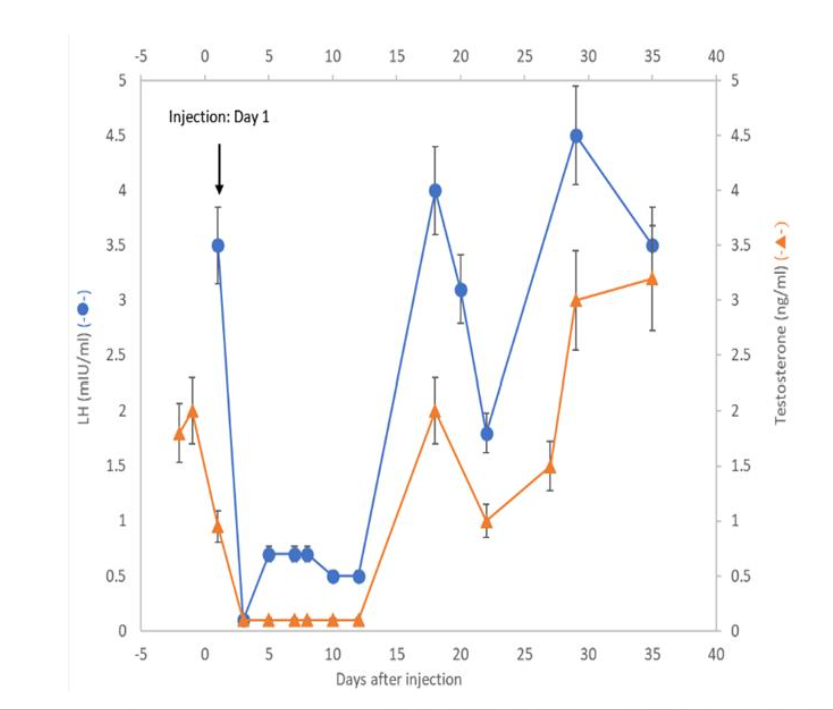 Figure 1. Hormonal profiles of serum LH (● ) and testosterone ( ▲ ) of a male rabbit upon one single injection of 3 mg/kg of GHR106 (hIgG4) on day 1.