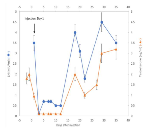 Figure 1. Hormonal profiles of serum LH (● ) and testosterone ( ▲ ) of a male rabbit upon one single injection of 3 mg/kg of GHR106 (hIgG4) on day 1.