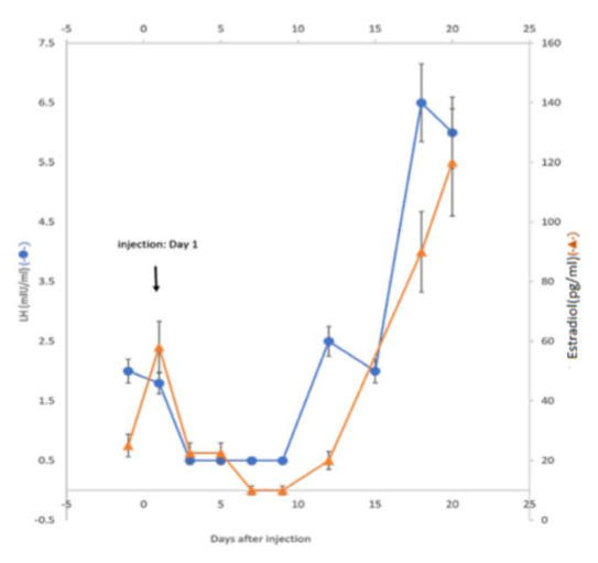 Figure 2. Hormonal profiles of serum LH (● ) and Estradiol (E2) (▲ ) of a female rabbit upon a single injection of 3 mg/kg of GHR106 (hIgG4) on day 1.