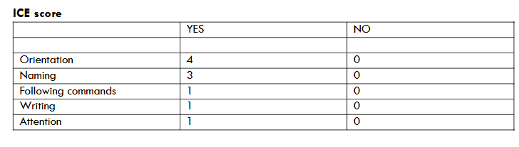 ICE score evaluation