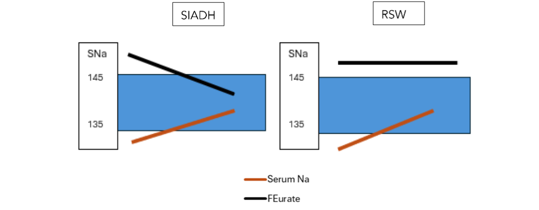 Figure 1. Graph demonstrating differences in relationship between serum sodium (SNa) and fractional excretion of urate (FEurate) in syndrome of inappropriate secretion of antidiuretic hormone (SIADH) and renal salt wasting (RSW). Blue areas represent normal values of SNa and FEurate. Note normalization of FEurate in SIADH and persistent increase in FEurate in RSW after correction of hyponatremia.