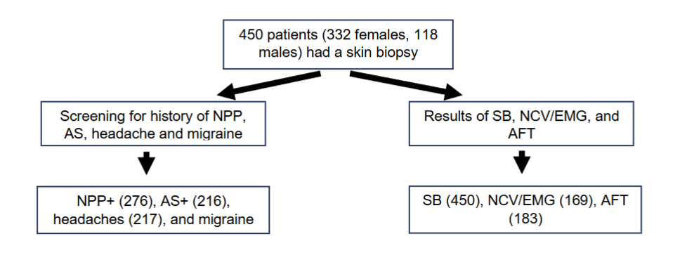 Figure 1. Study design