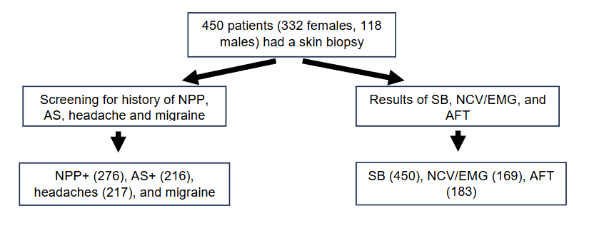 Figure 1. Study design