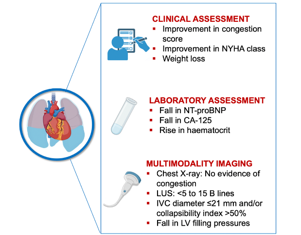 Figure 1. Decongestion targets