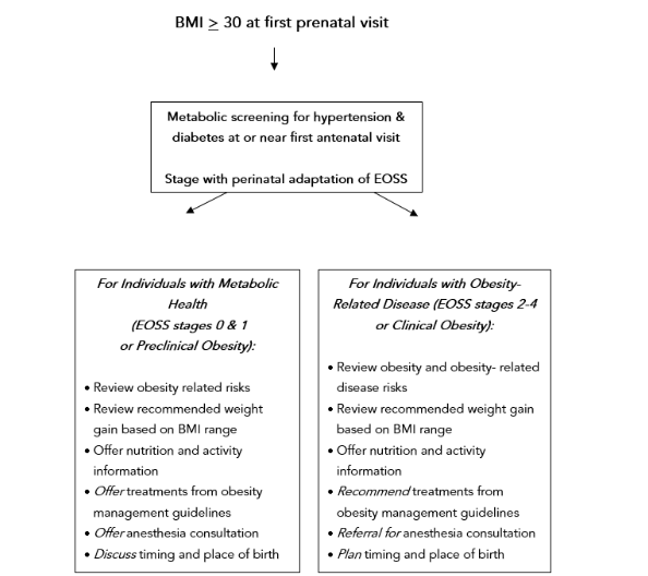 Figure 1. Holistic Assessment of High Weight in Pregnancy & Risk Ameliorating Treatments for Obesity