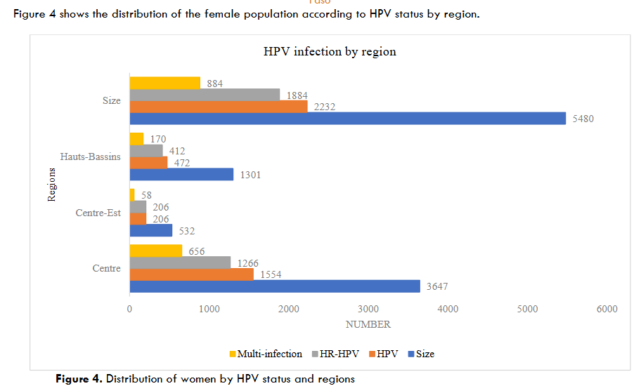 Figure 4. Distribution of women by HPV status and regions