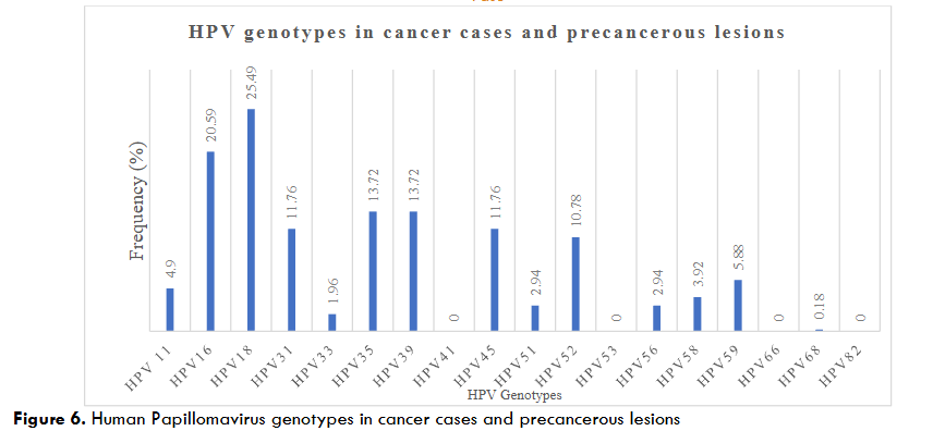 Figure 6. Human Papillomavirus genotypes in cancer cases and precancerous lesions
