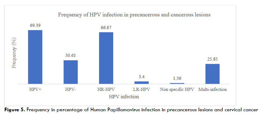 Figure 5. Frequency in percentage of Human Papillomavirus infection in precancerous lesions and cervical cancer