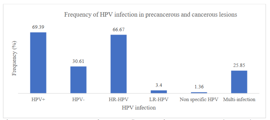 Figure 5. Frequency in percentage of Human Papillomavirus infection in precancerous lesions and cervical cancer