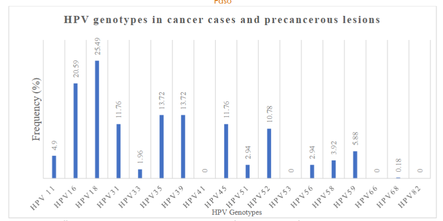 Figure 6. Human Papillomavirus genotypes in cancer cases and precancerous lesions