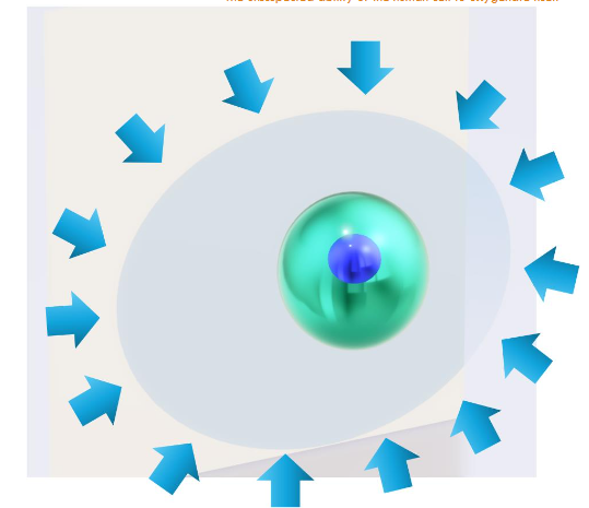 The water from the interstitial fluid penetrates continuously into the cells, crossing the cell membrane from several directions (blue arrows), attracted by the suction that occurs when the water molecule is dissociated by melanin, located mainly in the perinuclear space (green sphere), which represents the area where the dissociation of water occurs, enveloping the cellular nuclei represented by the intense blue sphere. The pale blue ovoid represents the cytoplasm and cell membrane. The rapid transformation of a non-compressible liquid such as water into its component gases (H2 and O2) creates an intense vacuum that attracts the surrounding molecules, usually around the cell nucleus, which is continuously re-filled with this suctioned water, this vacuum formed by the sudden disappearance of the water from the cytosol, since it is transformed into compressible gases manifested by a partial empty perinuclear space but probably with highest intracellular concentration of O2(gas) and H2(gas), which in turn, helps to maintain the relative emptiness of this perinuclear space. So, cells acquire the oxygen (and hydrogen) they need to function, just as they have been since the beginning of time, and they cannot change or even stop because all the other processes that make up what we call life have begun, are beginning, and will continue to begin with that dissociation. The cell then takes advantage of the dissociation of water in several ways, initially oxygen and hydrogen, but the vacuum generated by the dissociation of water is the explanation for Reid's observations dating back to 1892.