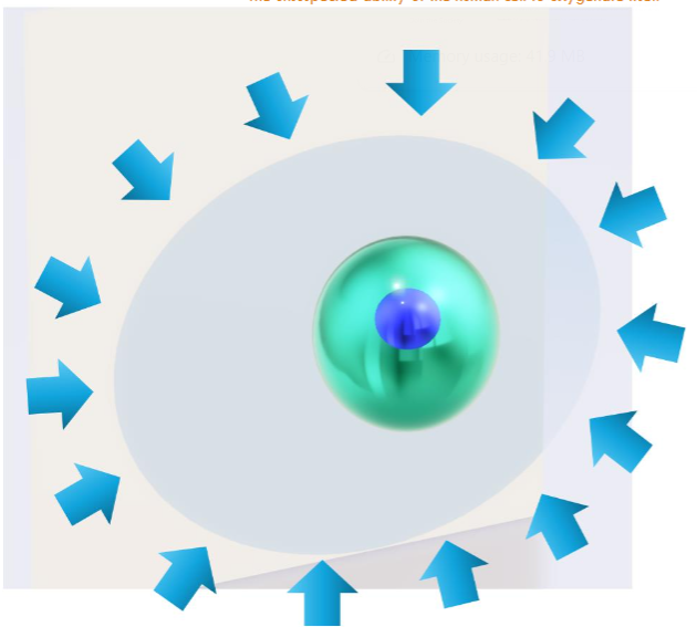 The water from the interstitial fluid penetrates continuously into the cells, crossing the cell membrane from several directions (blue arrows), attracted by the suction that occurs when the water molecule is dissociated by melanin, located mainly in the perinuclear space (green sphere), which represents the area where the dissociation of water occurs, enveloping the cellular nuclei represented by the intense blue sphere. The pale blue ovoid represents the cytoplasm and cell membrane. The rapid transformation of a non-compressible liquid such as water into its component gases (H2 and O2) creates an intense vacuum that attracts the surrounding molecules, usually around the cell nucleus, which is continuously re-filled with this suctioned water, this vacuum formed by the sudden disappearance of the water from the cytosol, since it is transformed into compressible gases manifested by a partial empty perinuclear space but probably with highest intracellular concentration of O2(gas) and H2(gas), which in turn, helps to maintain the relative emptiness of this perinuclear space. So, cells acquire the oxygen (and hydrogen) they need to function, just as they have been since the beginning of time, and they cannot change or even stop because all the other processes that make up what we call life have begun, are beginning, and will continue to begin with that dissociation. The cell then takes advantage of the dissociation of water in several ways, initially oxygen and hydrogen, but the vacuum generated by the dissociation of water is the explanation for Reid's observations dating back to 1892.