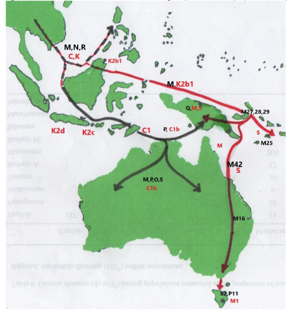 Australasia and Near Oceania colonization following two putative northern (red) and southern (black) routes.