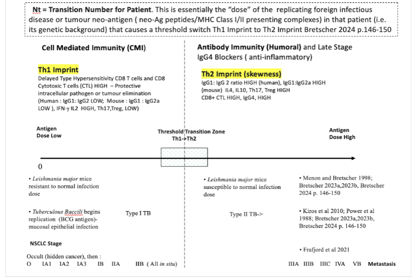 Figure 1. A schematic of Th1/Th2 regulation of the class of the systemic immune response. After Bretscher 2024.