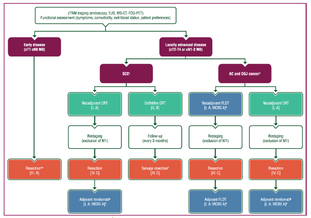 Figure 2: Treatment algorithm for local/locoregional resectable oesophageal and OGJ cancer.