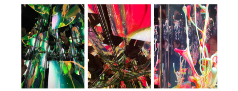 Figure 7. Example of displaying Tosa Art in the immersive space.