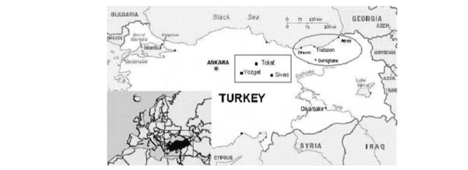 Geographic distribution of patients with Crimean-Congo hemorrhagic fever (CCHF), Türkiye, 2002-2003. The residences of the CCHF patients under investigation are indicated within circles/rectangles.