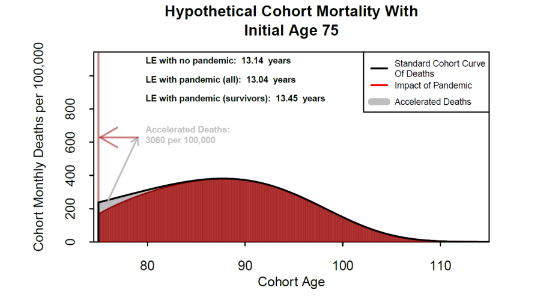 Figure 6: The impact of Covid-19 deaths on the cohort's projected curve of deaths in the absence of the pandemic.