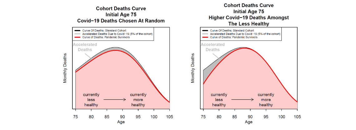 Figure 2: The Accelerated Deaths Model - random vs front-loading of Covid-19 deaths