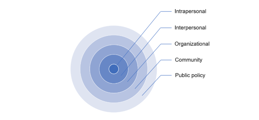 Levels of the Ecological Model of Health Promotion