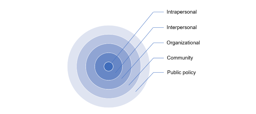Levels of the Ecological Model of Health Promotion