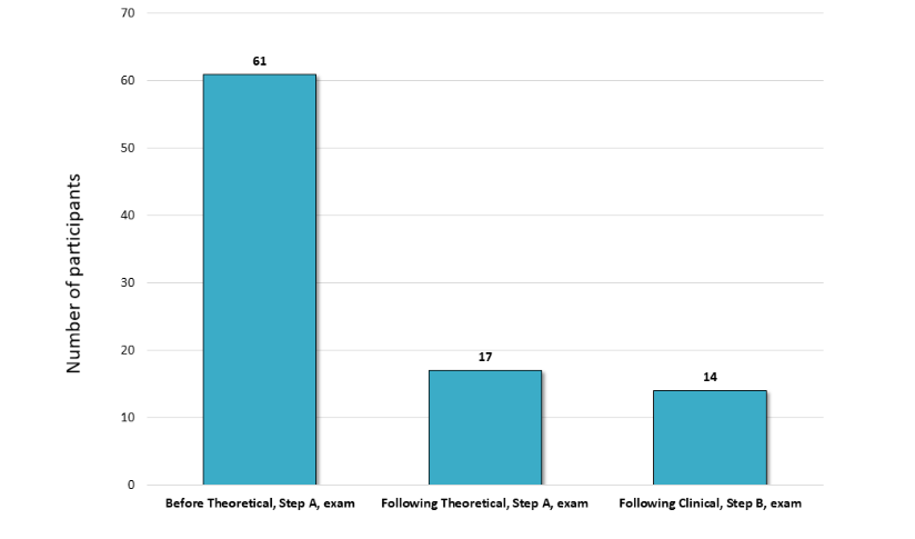Figure 1: The distribution of the three groups of Otorhinolaryngology/ Head and Neck Surgery residents participating in the study according to their achievements in the certification exams.