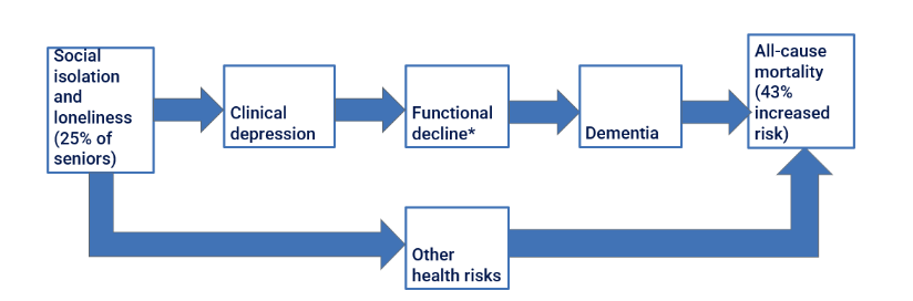 The hypothesized causal chains beginning with loneliness and social isolation that lead to elevated health and mortality risks.