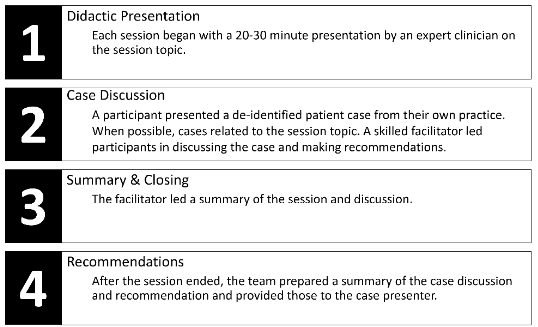 Figure 1: Format of each National ECHO: GeMH session.
