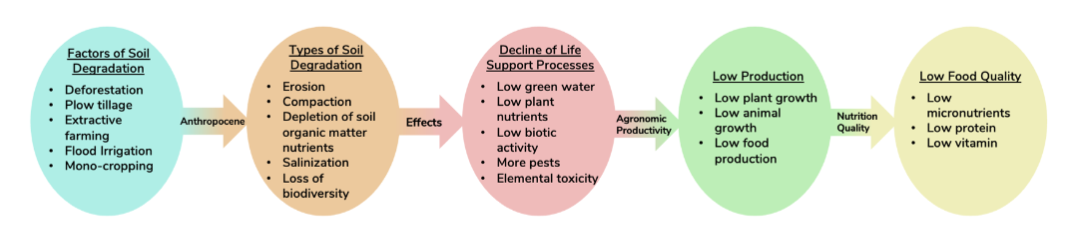 Figure 1. Soil Degradation Effects on Human Health