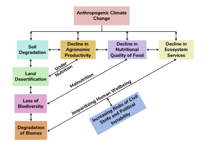 Figure 2. Interactive effects of climate change and soil degradation on human undernutrition and malnutrition because of degradation of biomes and the attendant decline in ecosystem