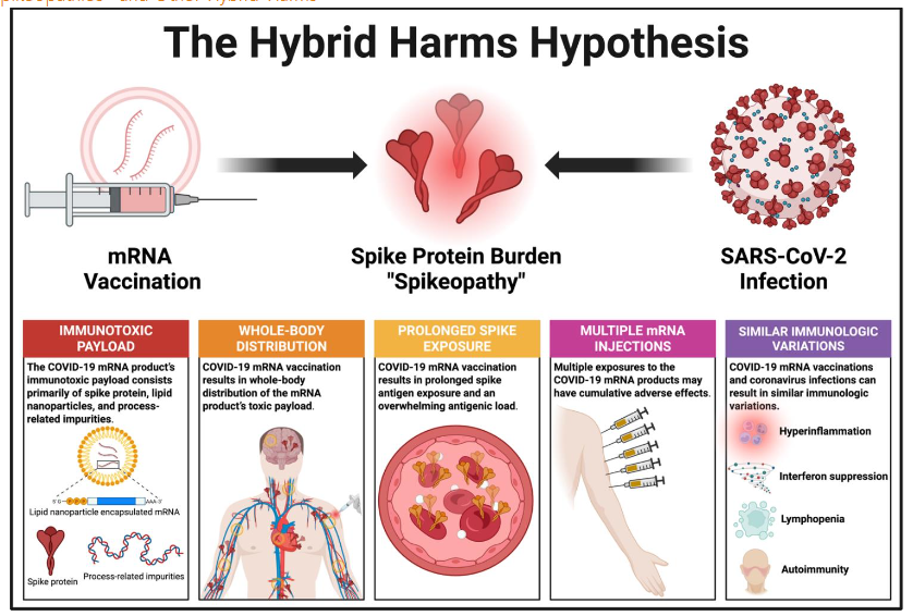 Central figure, 5 features of Hybrid Harms Hypothesis.
