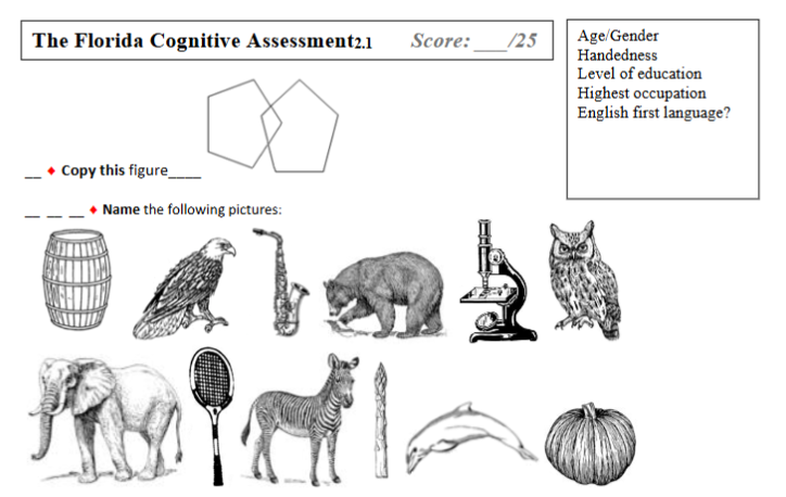 Figure 2: The most recent revision of the Florida Cognitive Assessment (form available in supplementary material).