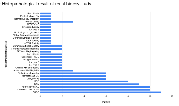 Figure 2: Histopathological result of renal biopsy study.