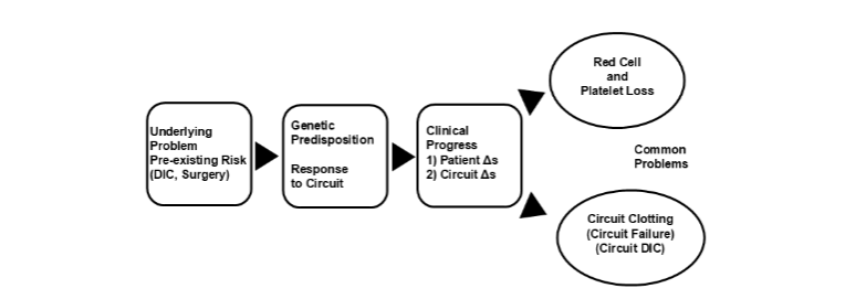 Figure 1. Causes of platelet loss during extracorporeal life support (ECLS). Adapted from reference 11.