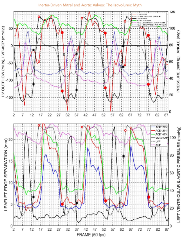 Figure 3: Data from a representative heart in this study. Black squares, mitral valve, red circles, aortic valve. Open symbols, imitation of valve closure.