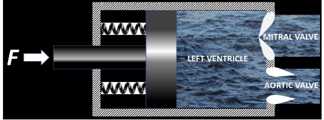 Figure 4: Relationship between left ventricular pressure and aortic pressure.