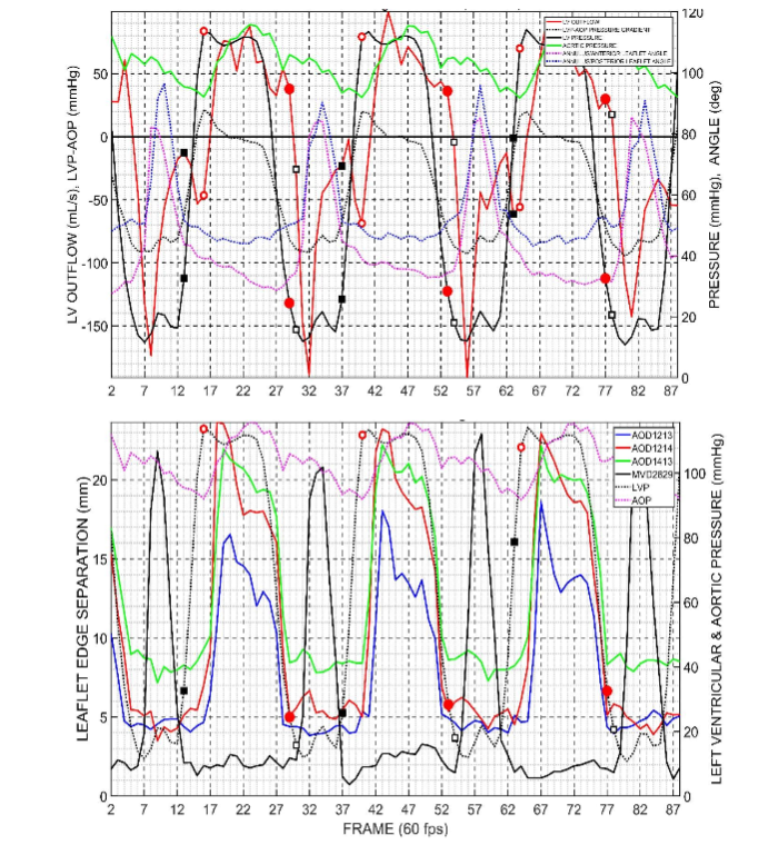 Figure 3: Data from a representative heart in this study. Black squares, mitral valve. Red circles, aortic valve.