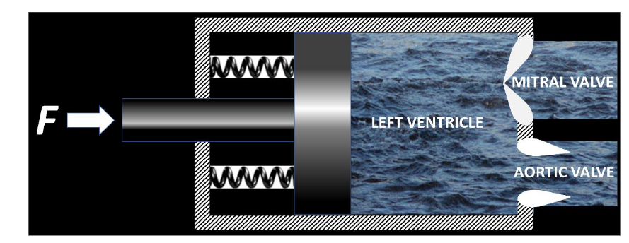 Figure 4: Understanding the left ventricle as a pumping organ. The data suggest that the left ventricular pressure increases 100 mmHg.