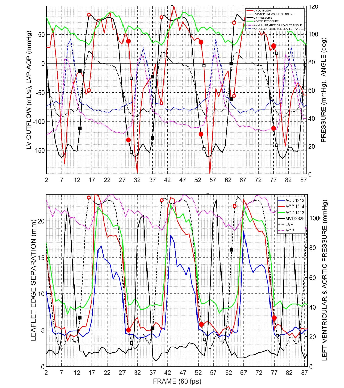 Figure 3: Data from a representative heart in this study. Black squares, mitral valve, Red circles, aortic valve. Open symbols, initiation of valve closure.