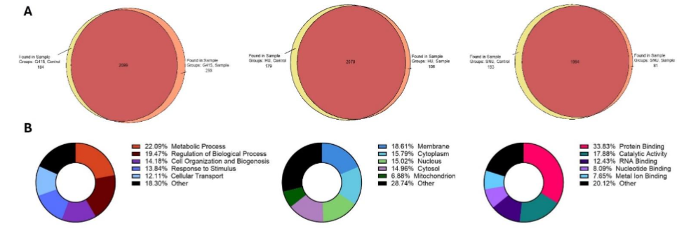 Volcano Plot (A) and heat map (B) of total proteins seen to be altered by ACC1 knockdown in proteomic analysis. The volcano plot analysis identifies 110 proteins significantly increased, and 267 proteins significantly decreased across all three cell lines. A heat map displays several commonly altered proteins in G415, HuCCT-1, and SNU-449 cell lines, including ABCF1, BNIP1, and RCF1.