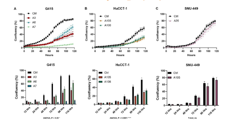 Proliferation assays were conducted on HuCCT-1, G415, and SNU-449 cell lines, including control and ACC1 knockdown clones. Across all three cell lines and clones, inhibition of ACC1 resulted in a slowdown in proliferation rates. The reduction of growth was significant only in the G415 and HuCCT-1 cell lines.