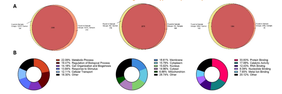Figure 7. Proteomic analysis was conducted on G415, HuCCT-1, and SNU-449 cell lines. (A) A Venn diagram illustrates the overlap of proteins identified in the proteomic analysis across the three cell lines. (B) The breakdown of significantly altered proteins in ACC1 knockdown cell lines involved in biological processes, cellular compartments, and molecular functions.